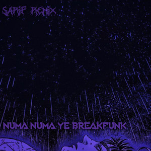 Sarip Remixer - Numa Numa Ye Breakfunk