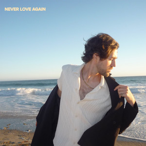Never Love Again by Greg Shilling