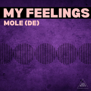 My Feelings - Radio Edit by Mole (DE)