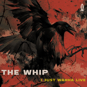 Something Better Somewhere Else by The Whip