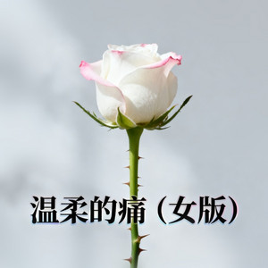 温柔的痛 - 女版 by Uatu