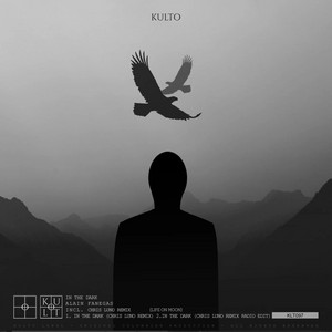 In The Dark - Chris Luno Remix Radio Edit by Alain Fanegas, Chris Luno