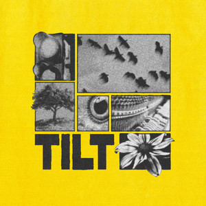 Tilt by Federica Abbate
