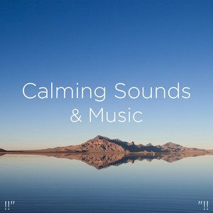 Sleep Sounds of Nature, BodyHI & Nature Sound Collection - Morning Nature Sounds
