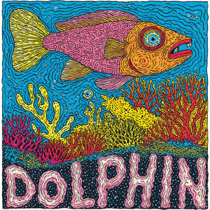 Dolphin by tha jerus