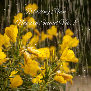 Relaxing Rain Nature Sound Vol. 1 album