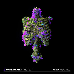 Noir by UnderWater Project