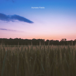 Aureate Fields by Wander Paths