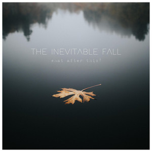 The Inevitable Fall by What After This? Album Cover
