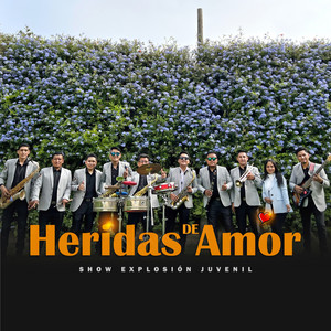 Heridas de Amor (Remix)