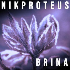 classic massage by Nicola Porcu, Nikproteus