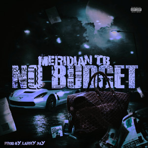 No Budget by Meridian TB