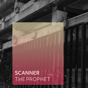 Cities Down to the Last Radio by Scanner
