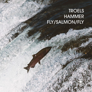 Обкладинка: Fly Salmon Fly