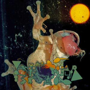 Album cover: Chesapeake Heat, Phyllomedusa (Spotify)