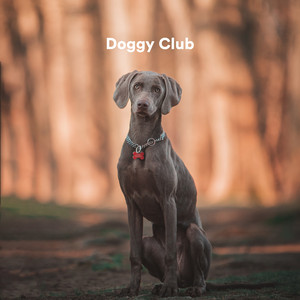Doggy Club album