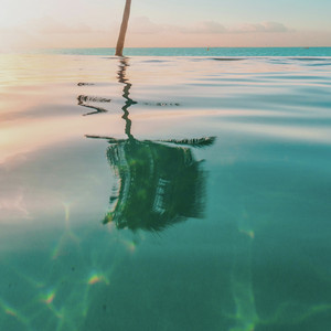 Tropical Dreams by Golden After