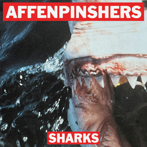 Sharks by Affenpinshers