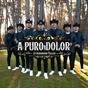 A Puro Dolor (Cumbia Ranchera) by LA HERMANDAD CHILENA