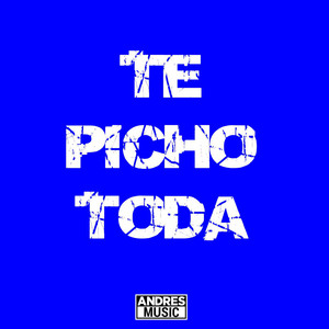 Andres Dj - Te Picho Toda