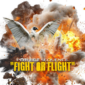Fight or Flight by Perfect Sequence