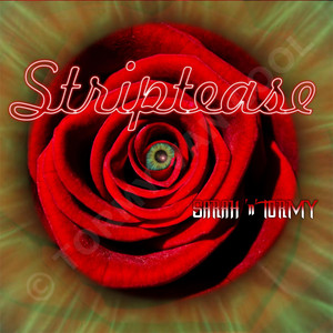 SARAH 'n' TORMY artist photo