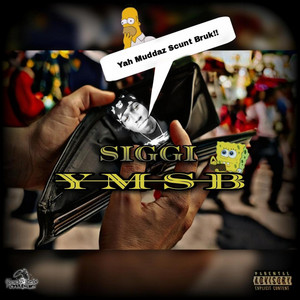 Siggi Soo Desert - MS BRUK -Parody Song (RAW)