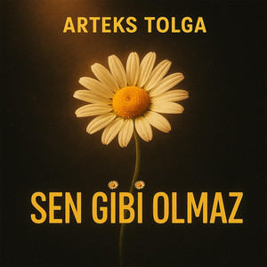Sen Gibi Olmaz by Arteks