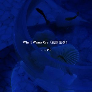 Why I Wanna Cry - 氛围原创 by PPR