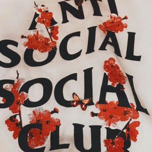 ANT! SOCIAL