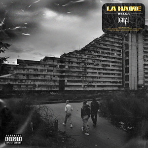 La Haine by Welka