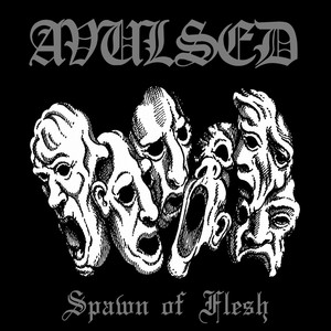 Spawn of Flesh by Avulsed