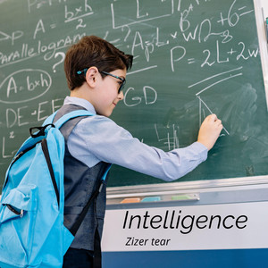 Intelligence by Zizer tear