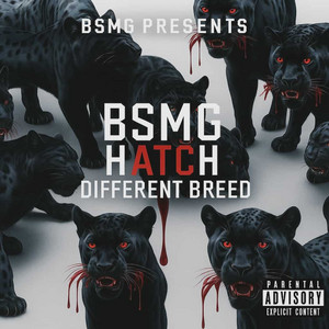 Outta Sight by BSMG Hatch