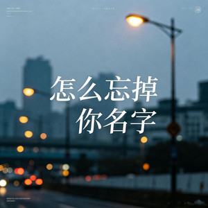 怎么忘掉你名字 by 班开文