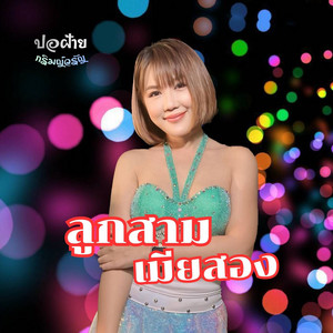 ลูกสามเมียสอง