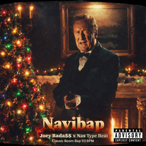 Ksanova Studio - Navibap