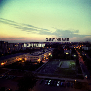Niedopowiedzenia cover