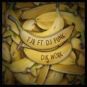 Dik Work (feat. DJ Funk) by TJR, dj funk