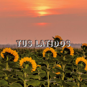 Michael Gamb - Tus Latidos