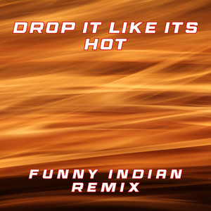 Drop It Like It's Hot (Funny Indian Remix)