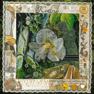 Kudzu by Practically People