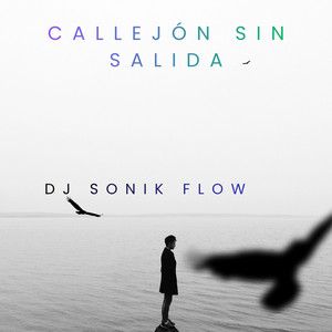 Callejón Sin Salida by DJ SONIK FLOW