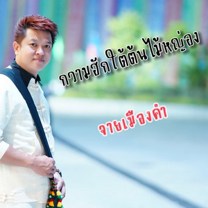 กวามฮักใต้ต้นไม้หญ่อง