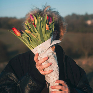 what november brings