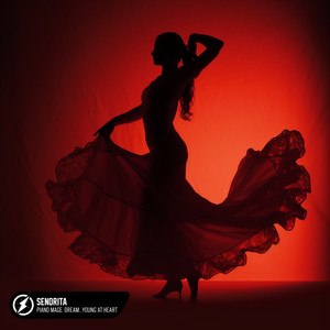 Señorita (Slowed & Reverb)