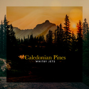 Caledonian Pines by Whitby Jets