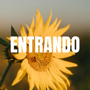 ENTRANDO by LOKASO