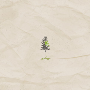 cedar