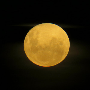 Eugenio Pedro - Pedazo de Amor